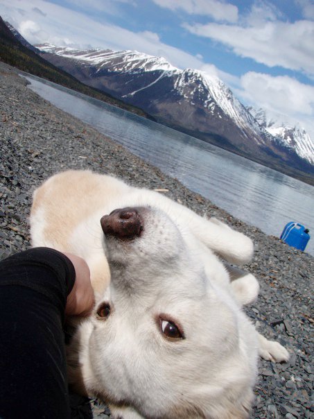 photo by Darby Andrews