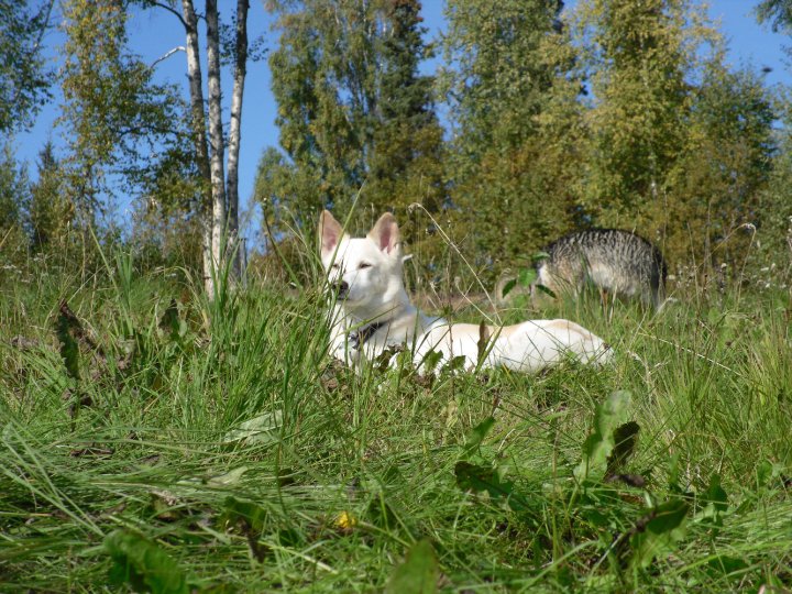 photo by Renee LaFata