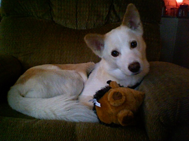 Yeah, that's my hedgehog. So what?