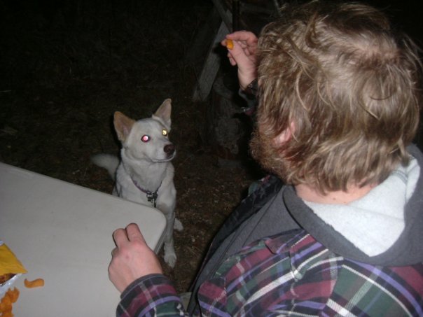 Wingnut & DRB at the cabin 2